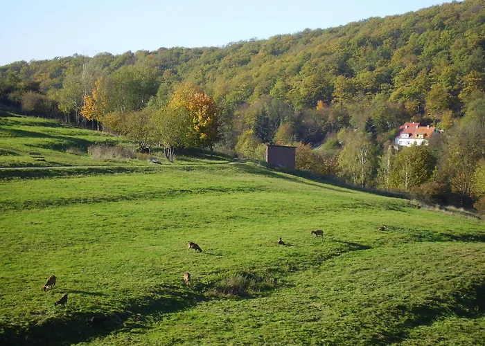 Harzresidenz 3* Thale